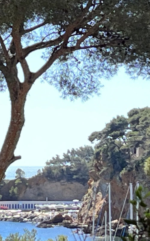 Arbre