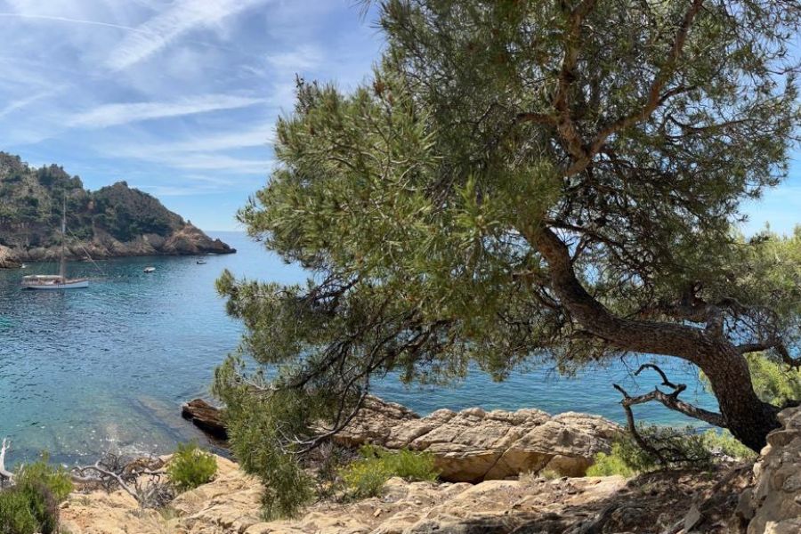 Lire la suite à propos de l’article les Escapades Mer Pinède Baignade au départ de la Casa